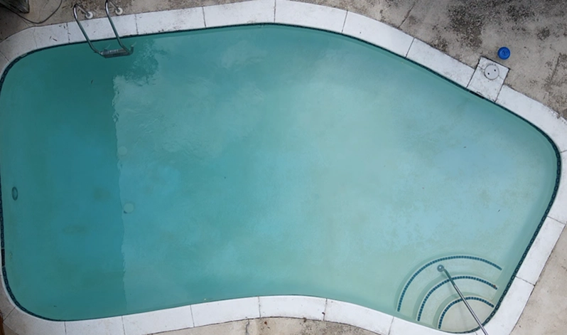 A serene pool filled with clear blue water, surrounded by a sunlit patio and lush greenery.