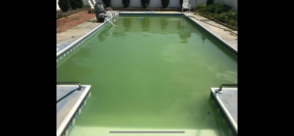 Rectangular swimming pool with green water before cleaning